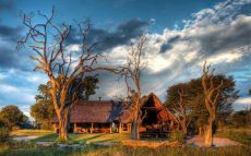 Bomani-ZIM-main-lodge