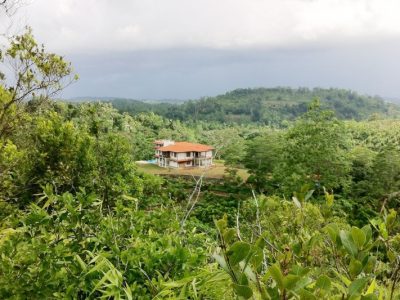 The stunning plantation setting at Niyagama House